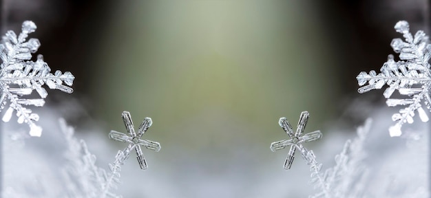 Flocons de neige naturels sur la neige, l'hiver