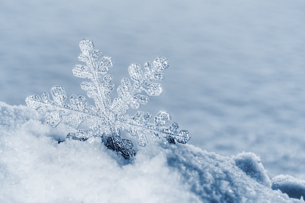 Flocons de neige de Noël sur la neige