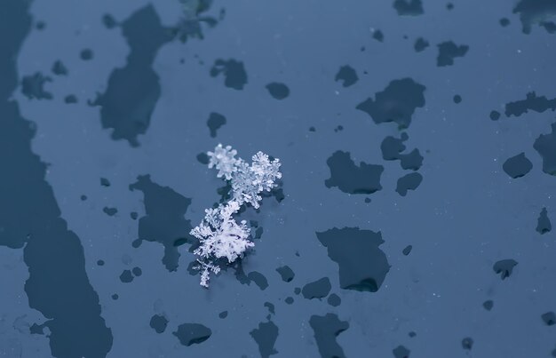 Flocons de neige pendant les chutes de neige sur la surface en verre.