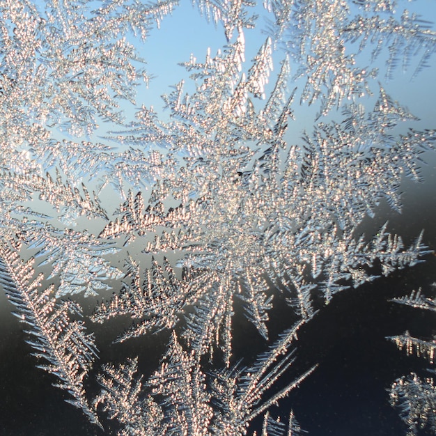 Photo des flocons de neige sur la vitre de la fenêtre