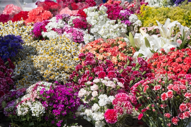 Floraison de belles fleurs naturelles colorées en vue