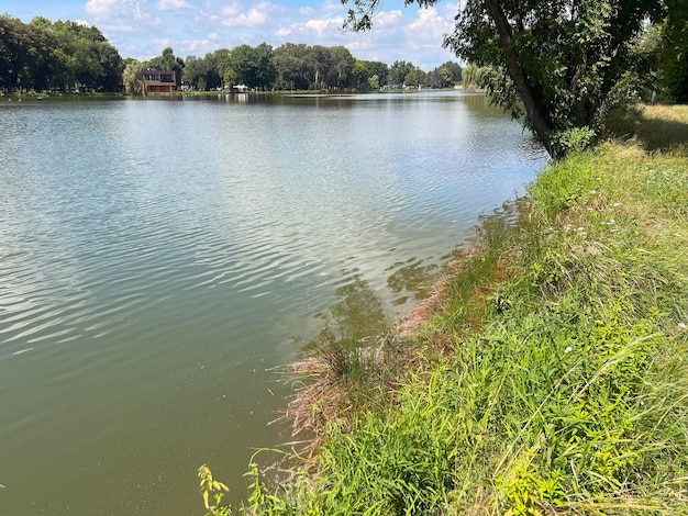 Floraison de l'eau en été Colmatage de l'eau sale Problème mondial de pollution de l'environnement causé par les produits chimiques et les industries