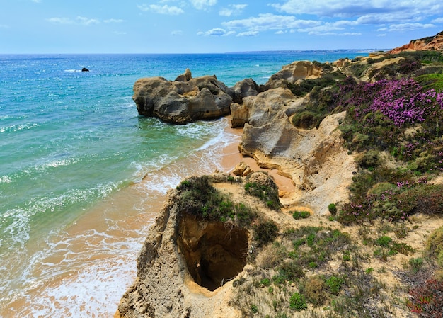 Floraison estivale vue sur la côte rocheuse de l'Atlantique avec des fleurs violettes et une étroite plage de sable (périphérie d'Albufeira, Algarve, Portugal).