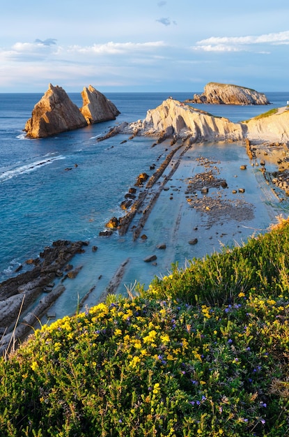 Floraison de la plage d'Arnia (Espagne). Paysage côtier du soir de l'océan Atlantique.