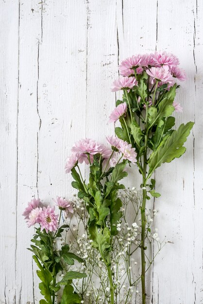 Floral fond avec des tulipes rouges et blanches et des marguerites