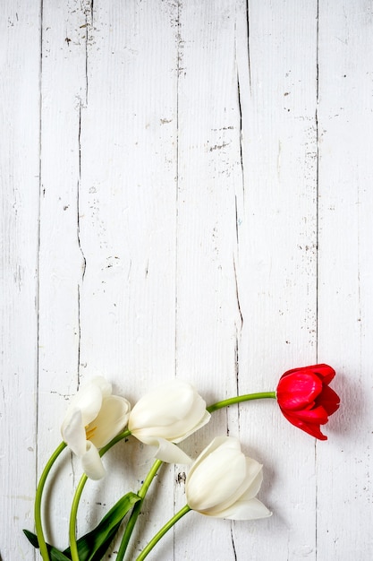 Floral fond avec des tulipes rouges et blanches et des marguerites