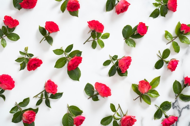 Floral pattern sans soudure de fleurs de roses rouges, feuilles vertes, branches