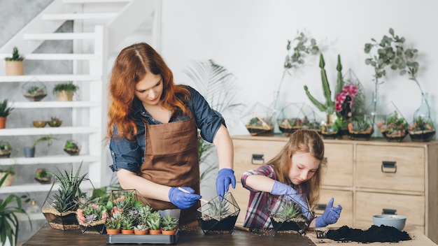 Florarium de bricolage. Passe-temps et loisirs créatifs en famille. Mère et fille plantant des plantes grasses dans des vases de forme géométrique en verre.