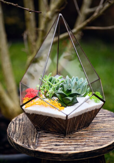 Florarium sur la petite table en bois du jardin