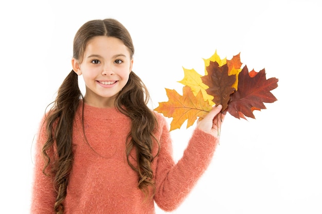 Flore et botanique Remise d'automne Vendredi noir Naturel et biologique Mode de vie sain Beauté naturelle Enfance heureuse Petit enfant sur fond blanc Fille tenir des feuilles naturelles Concept de bouquet