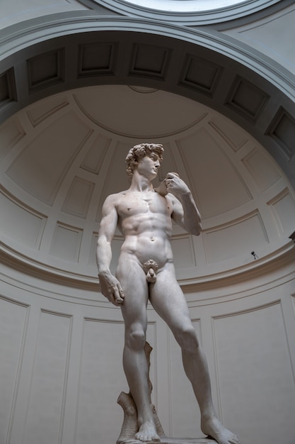 Florence, Italie - 24 Juin 2018 : La Sculpture De La Renaissance Est David De Michel-ange, Créé Entre 1501 Et 1504 à L'académie Des Beaux-arts De Florence (accademia Di Belle Arti Di Firenze)