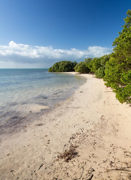 Florida Keys Anne's Beach