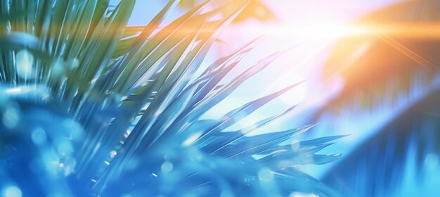 Flou abstrait arrière-plan défocalisé aux tons bleus doux de la nature tropicale des rayons de soleil d'été