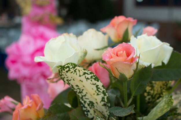 Flou de rose sucrée pour le fond de la Saint-Valentin