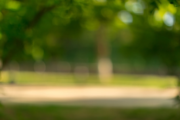 Floue des arbres et des plantes dans un parc par une journée ensoleillée