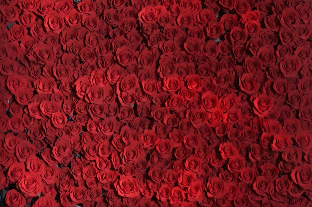 Flowers background