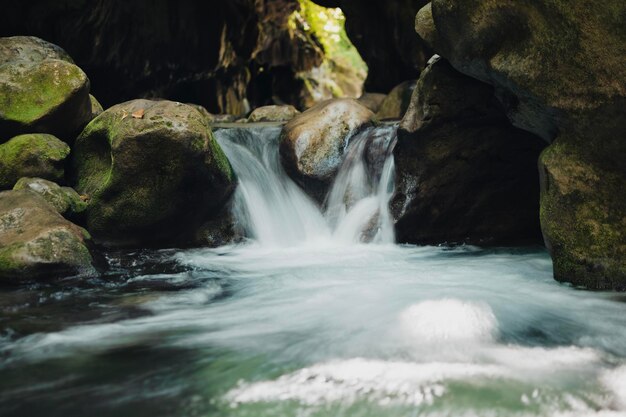 Photo flux caudal de la rivière lors d'une promenade dans la nature