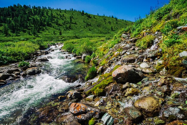 Flux d'eau rapide du ruisseau de montagne parmi les rochers en plein soleil dans la vallée