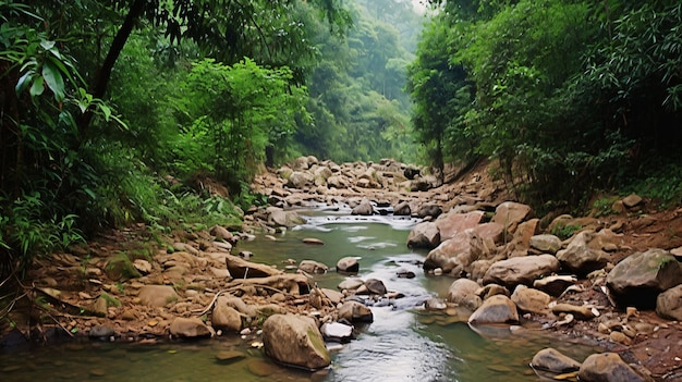 flux de montagne humide du vietnam