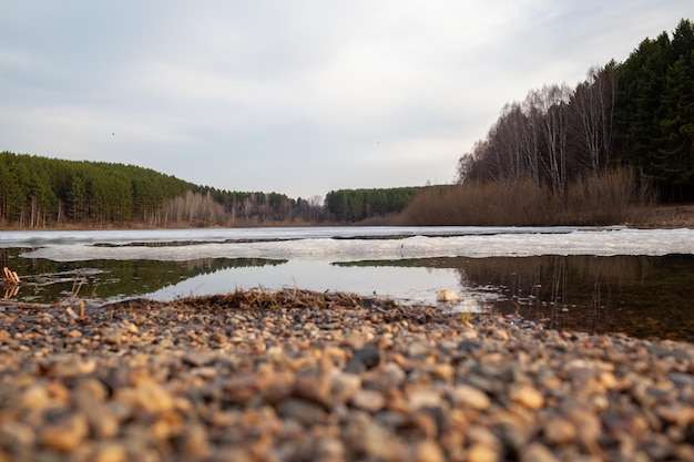 Flux de printemps dans la nature. La neige fond et des ruisseaux clairs coulent. Nature face aux lacs et forêts