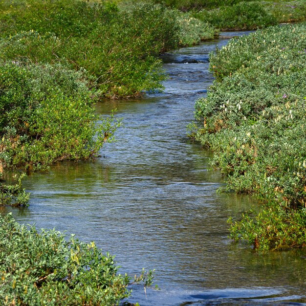 Flux rapide d'une rivière de montagne