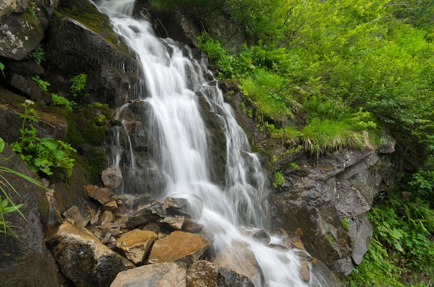 Flux de ruisseau de printemps en montagne.