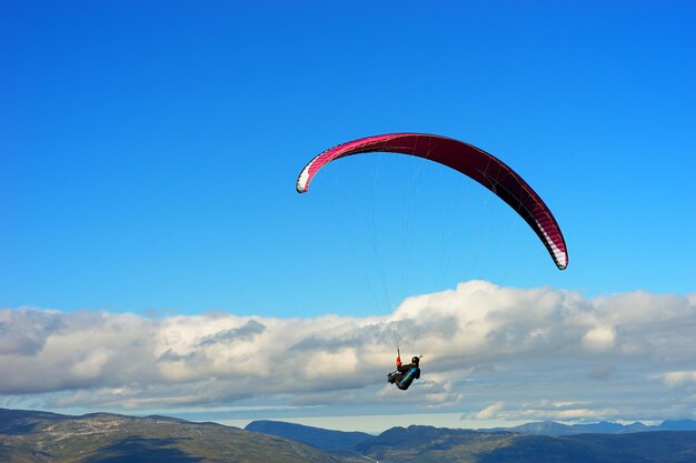 Flyer de cerf-volant dans le fond de ciel hd