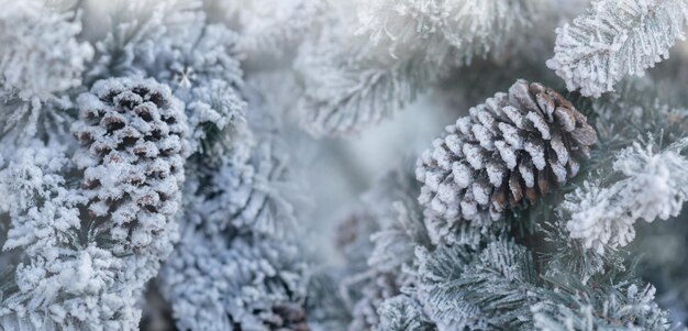 Focus sur les cloches et les sapins de Noël à Noël et au Nouvel An 2022