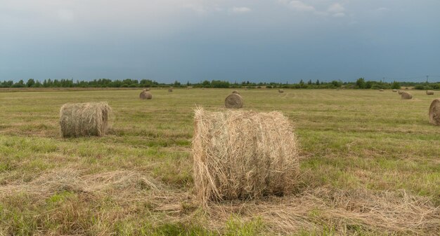 foin en rouleaux sur le terrain, sur fond de ciel bleu avec des nuages