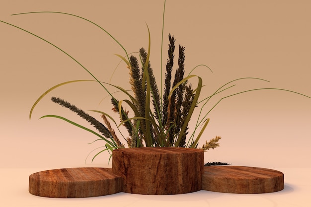 Fond 3D podium en bois sur socle beige Nature plante sèche Promotion du produit Composition d'automne