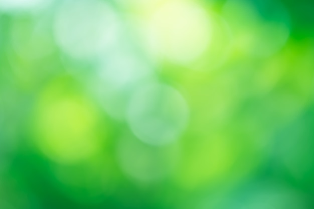 Fond abstrait bokeh vert circulaire.