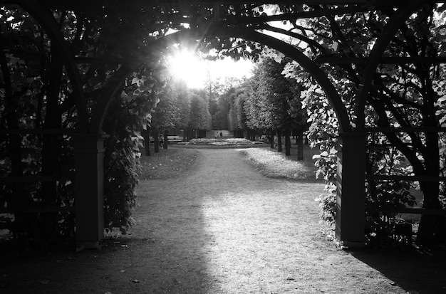 Fond d'arc de jardin noir et blanc