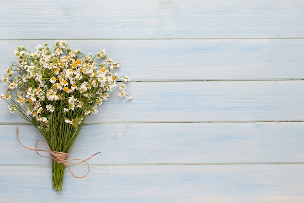 Fond d'aromathérapie Spa, pose à plat de divers produits de soins de beauté décorés de fleurs de camomille simples.