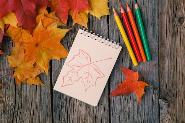 Fond d'art créatif avec des feuilles d'érable d'automne