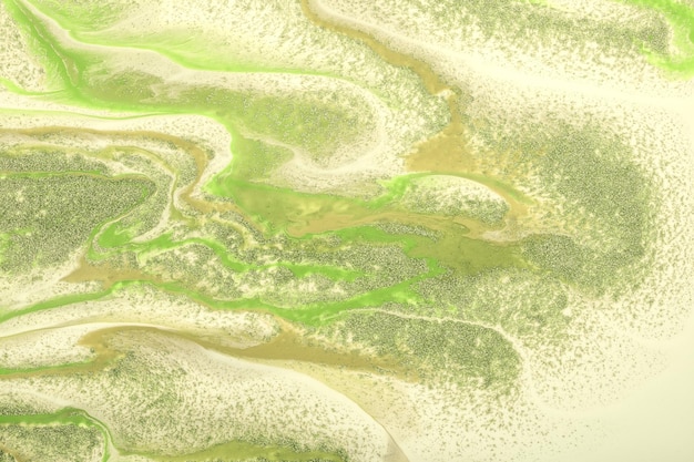 Fond d'art fluide abstrait couleurs vert clair et beige Marbre liquide Peinture acrylique avec dégradé d'olive