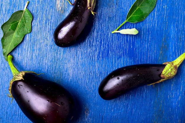 Fond d'aubergine fraîche avec feuille.