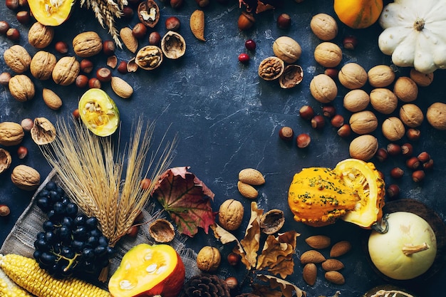 Fond d'automne ou d'action de grâces avec citrouille décorative maïs noix raisins et blé sur table en pierre sombre récolte nature morte composition avec un espace pour le texte