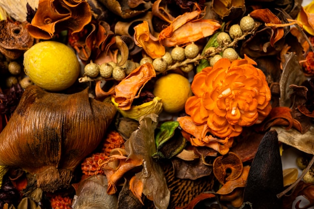 Fond d'automne. Beaucoup de feuilles sèches, de fleurs