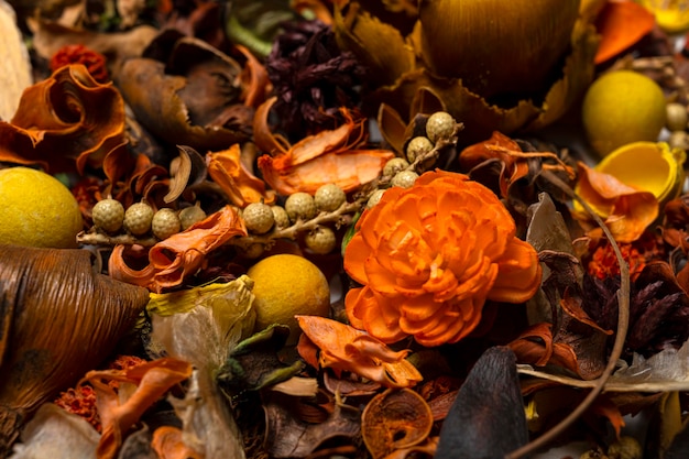 Fond d'automne. Beaucoup de feuilles sèches, de fleurs