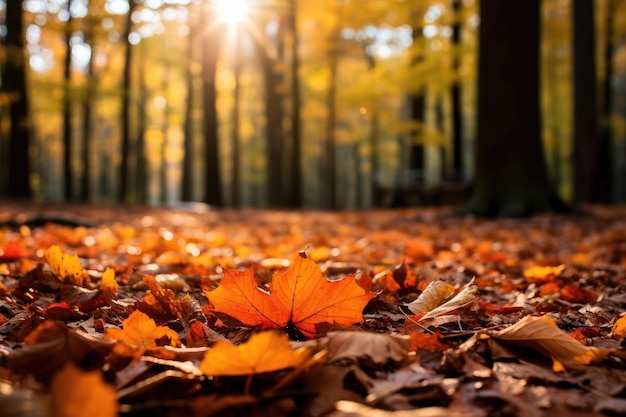 Un fond d'automne avec des branches d'arbres forestiers denses avec des feuilles rouges et oranges vibrantes