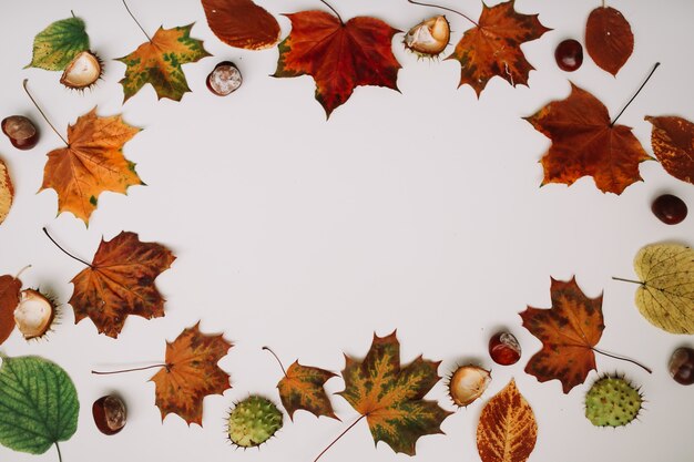 Fond d'automne et cadre avec des feuilles séchées