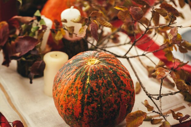 Fond d'automne avec citrouille bouchent sur table