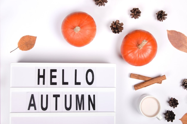 Fond d'automne avec citrouille, cannelle et coton sur fond blanc