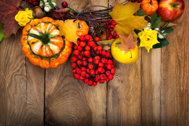 Fond d'automne avec des citrouilles, des baies de rowan, des feuilles d'érable