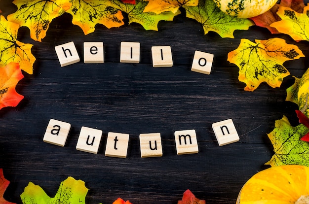 Fond d'automne avec des citrouilles décoratives