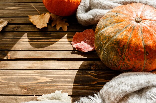 Fond d'automne avec des citrouilles et des feuilles colorées sur planche de bois