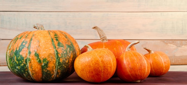 Fond d'automne Citrouilles mûres et feuilles tombées jaunes Concept de récolte et de Thanksgiving Halloween