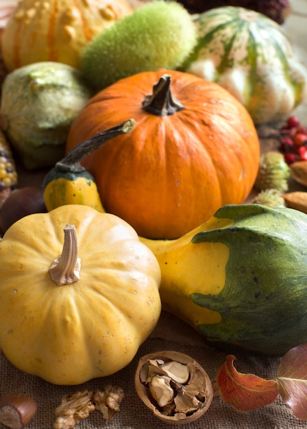 Fond d'automne avec des citrouilles se bouchent