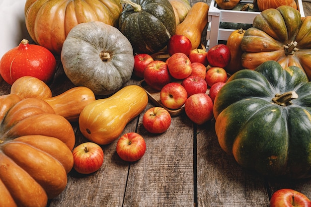 Fond d'automne coloré avec des citrouilles et des pommes