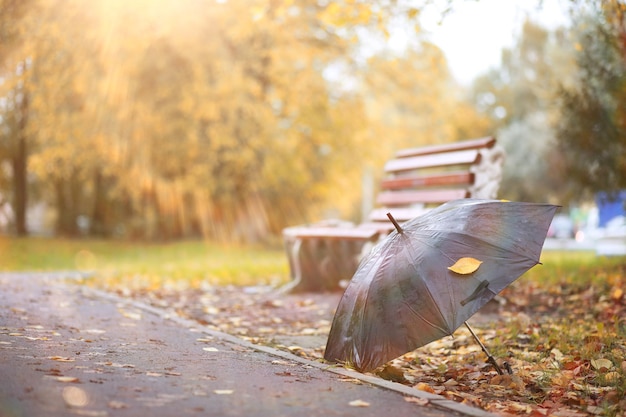 Fond d'automne dans le parc